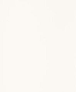 Elegant Surface Bianco Sciana Rekt. 29,8X89,8 G.1