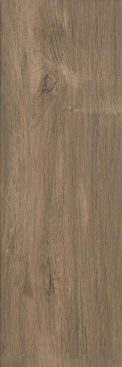 Wood Basic Brown Gres Szkl. 20X60 G.1
